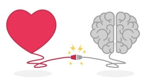 4fcdd5d3-8f9b-4942-81fd-1259c34d01a5-46610-000030d3db8f9d52