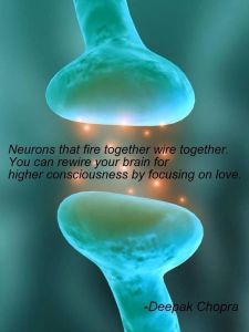 7A858015-0E7E-434D-9386-A279EF302AFB