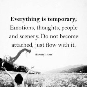 7F1B569C-FE5D-414E-8D88-9800E6CC0890