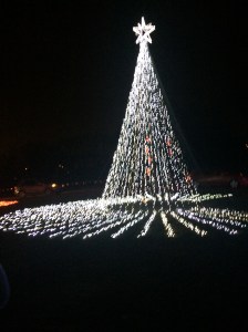 E8F21D4F-FF17-42A0-8746-882C77B74462