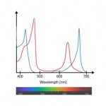 5A5CABA9-2B4C-47F8-A06A-26138023EB11