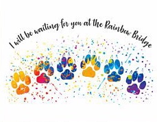 75C2D0C0-A77F-4950-AA68-1E9737457111