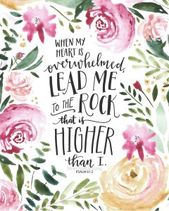 811F460B-9F1D-4726-8CDC-33587BE13524