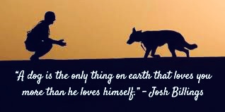 FF150D41-49FB-4B34-8820-58A041A3DD5F