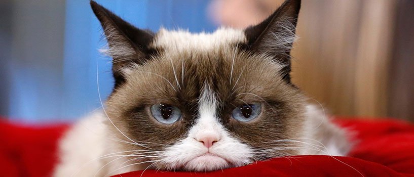 C9F8A983-5BB4-4A18-9CB0-85F985DD35C0