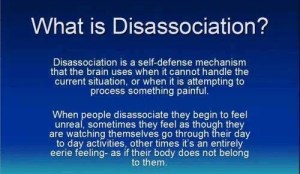 d0033ac5-e020-490d-a057-24f0c1a90c7c-43917-00000875474bb142