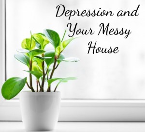 Window, sill, clean.