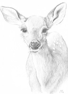 177B77B0-0BDF-4CF0-B115-61270671FA07