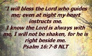 5C5859A9-7215-4E34-AA86-FE897089F51B