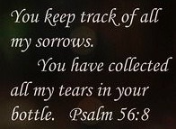 7B5662BA-B0A6-4FF3-93AD-B3C3E7156E88