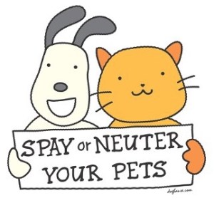 9CCDB4C0-E840-4DBA-A99E-502AFC701D61