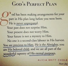 56089E8D-E8F1-40A6-9286-873CAAEA5251