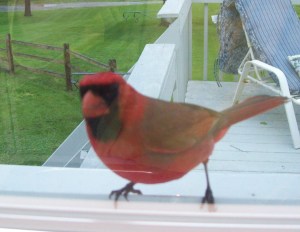 176DD623-B740-471E-8C6D-BE4DA370728E