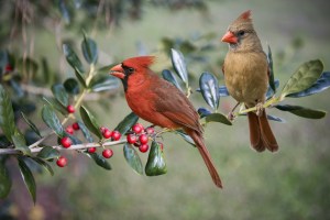 88D619BF-A02D-46B4-86DF-C13C832BBBD1