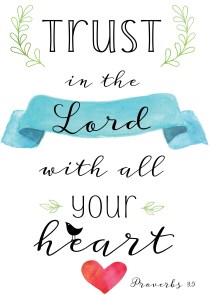 E2D9E554-78A6-410B-9CC9-B2302D3C8A68