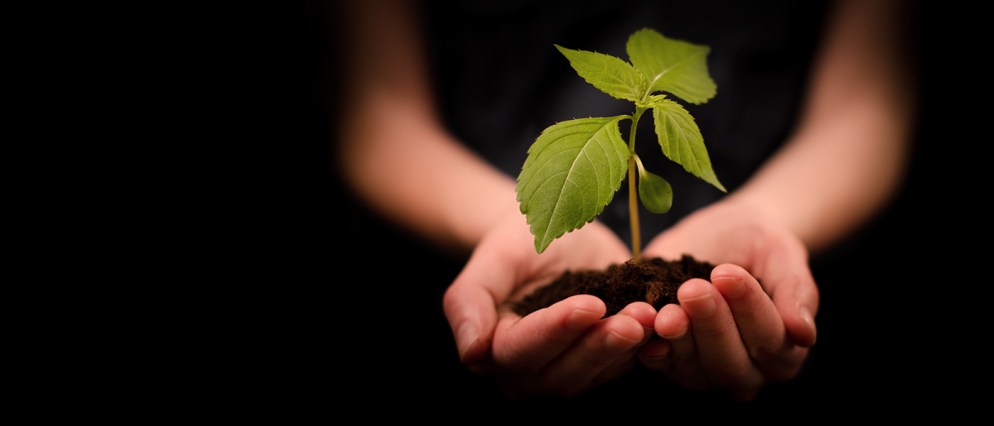 1DFD2EC3-6A6E-488D-9C5F-24EB36D0681A