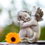 6E524E2F-DBAC-49E1-81B9-E868964A5AF6