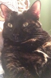 7AF681FF-95B3-48CE-9E00-B274FA3030B1