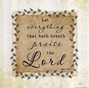 8FE8F7D3-9E1F-4E6B-8A72-98C194BB8199