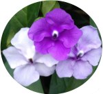 947E3C6C-23F6-48E9-B6FD-40FE17C18ED4