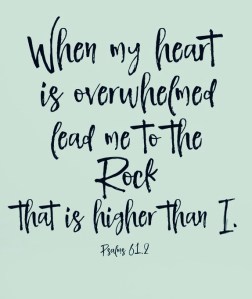 E4AE16BB-84B6-4678-AB98-086C270E741D