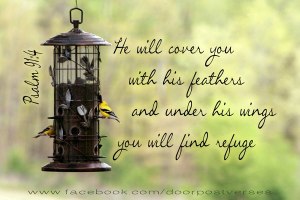 E581EF37-D2ED-4AF0-91E1-C8C42CF22D8E