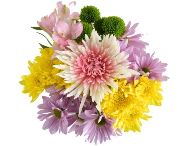 CFE0A23B-A224-440D-AF15-092945D8BBAF